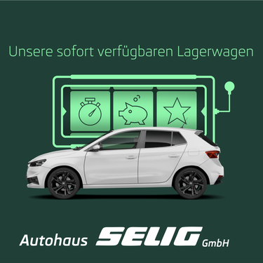 Skoda Lagerwagen